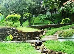 Green Berg Holiday Resort Munnar